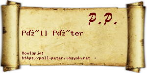 Páll Péter névjegykártya